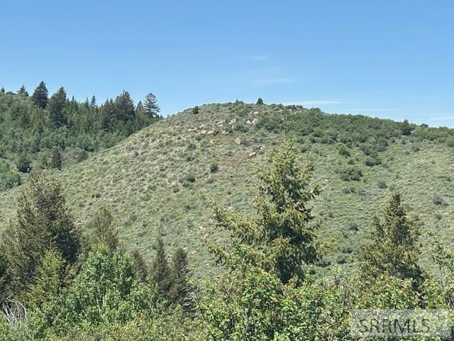 60.8 Acr Swan Valley Hwy, RIRIE, Idaho image 28
