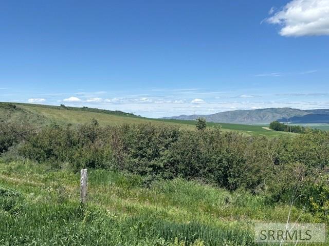 60.8 Acr Swan Valley Hwy, RIRIE, Idaho image 15