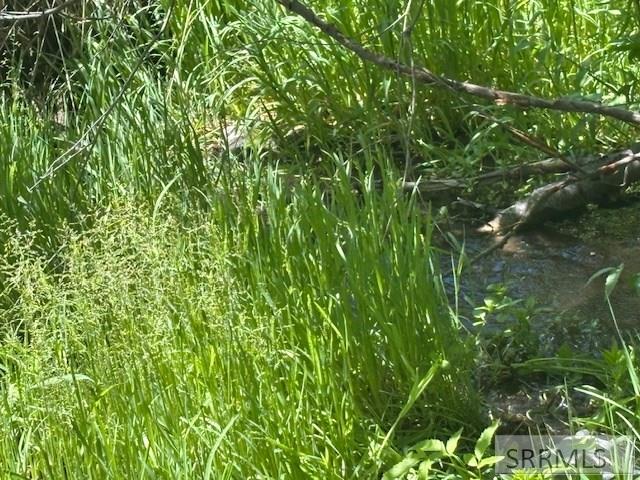 60.8 Acr Swan Valley Hwy, RIRIE, Idaho image 34