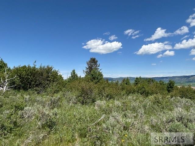 60.8 Acr Swan Valley Hwy, RIRIE, Idaho image 11