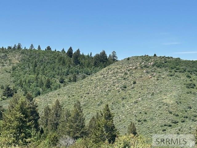 60.8 Acr Swan Valley Hwy, RIRIE, Idaho image 19