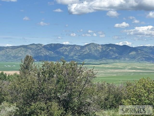 60.8 Acr Swan Valley Hwy, RIRIE, Idaho image 29