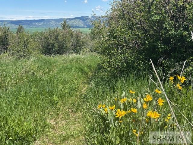 60.8 Acr Swan Valley Hwy, RIRIE, Idaho image 13