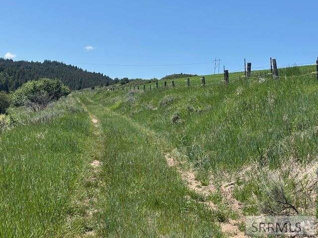 60.8 Acr Swan Valley Hwy, RIRIE, Idaho image 39