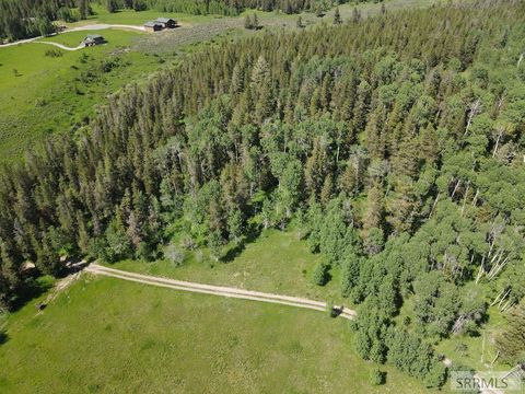Vacant Land For Sale - TBD 5 AC Last Resort Lane<br/> Fremont County, ASHTON, ID 83420