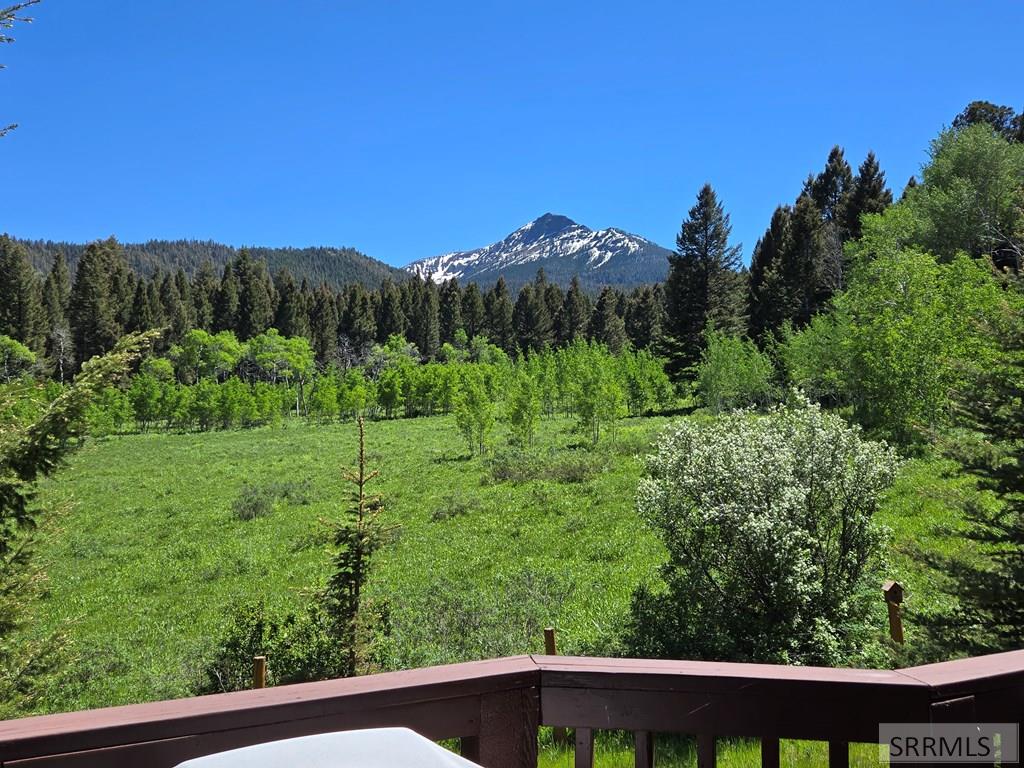 3560 Rock Creek Lane, ISLAND PARK, Idaho image 33