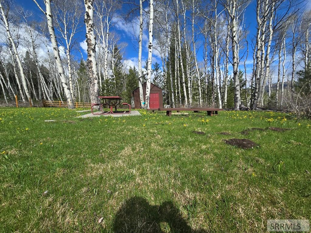 3560 Rock Creek Lane, ISLAND PARK, Idaho image 16