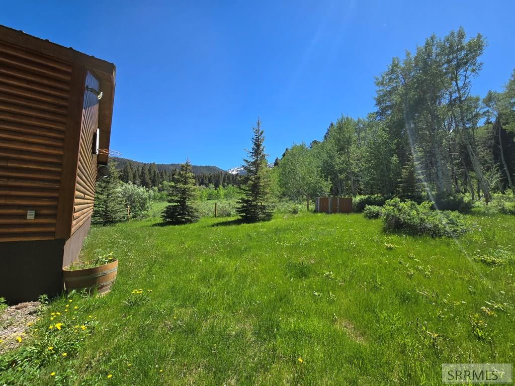 3560 Rock Creek Lane, ISLAND PARK, Idaho image 23