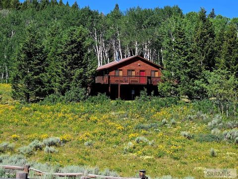 Photo of 3560 Rock Creek Lane, ISLAND PARK, ID 83429 (MLS # 2176330)