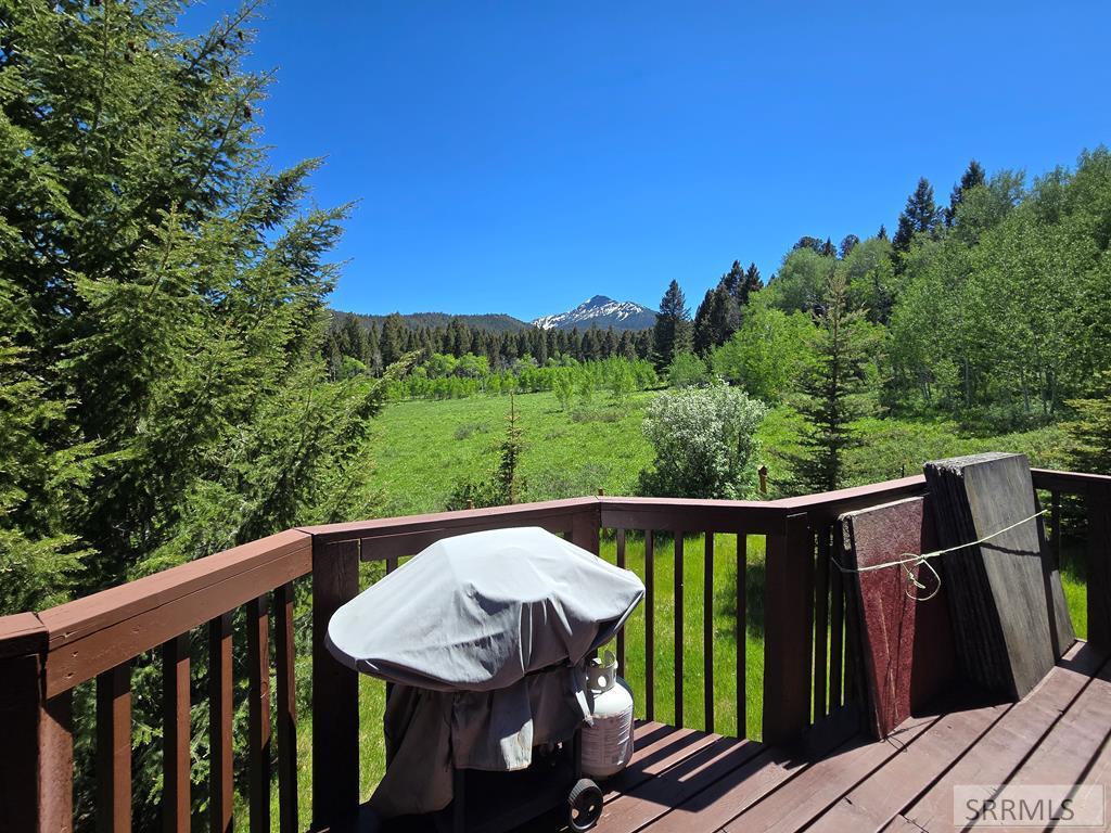 3560 Rock Creek Lane, ISLAND PARK, Idaho image 3