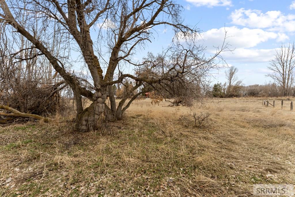 3998 E 600 N, RIGBY, Idaho image 41