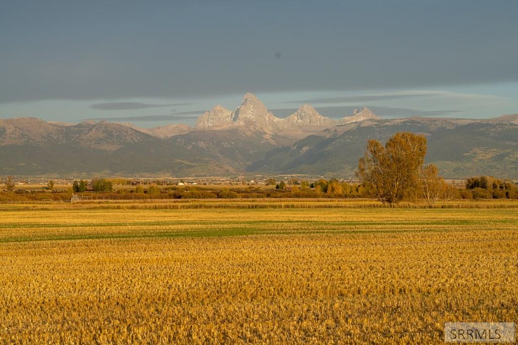 TBD Eddyline Dr, TETONIA, Idaho image 7