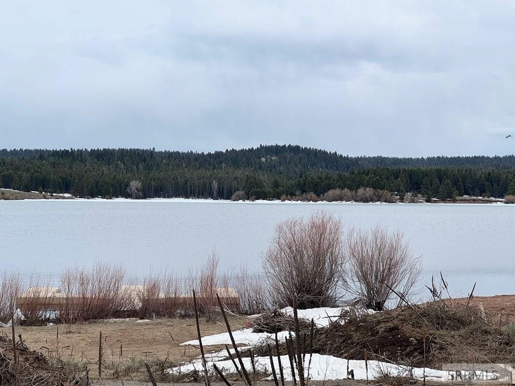 3694 Southshore Drive, ISLAND PARK, Idaho image 13