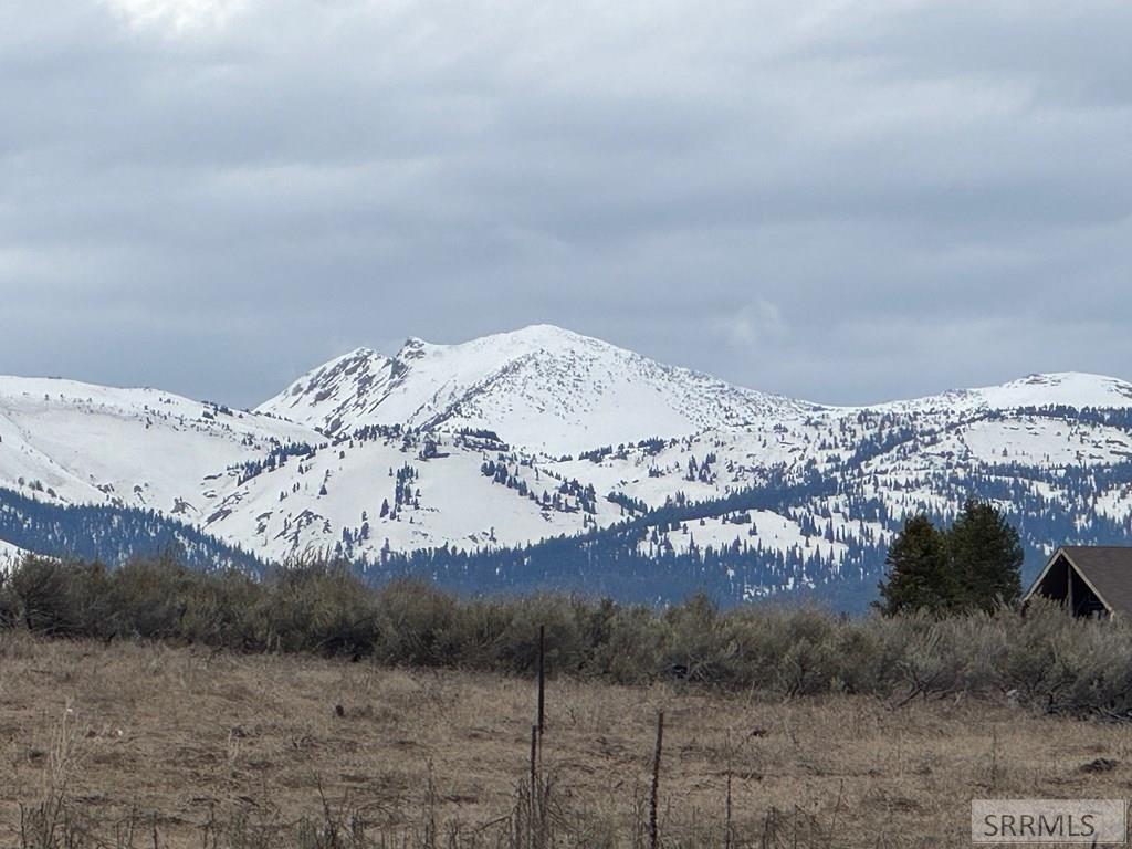 3694 Southshore Drive, ISLAND PARK, Idaho image 7