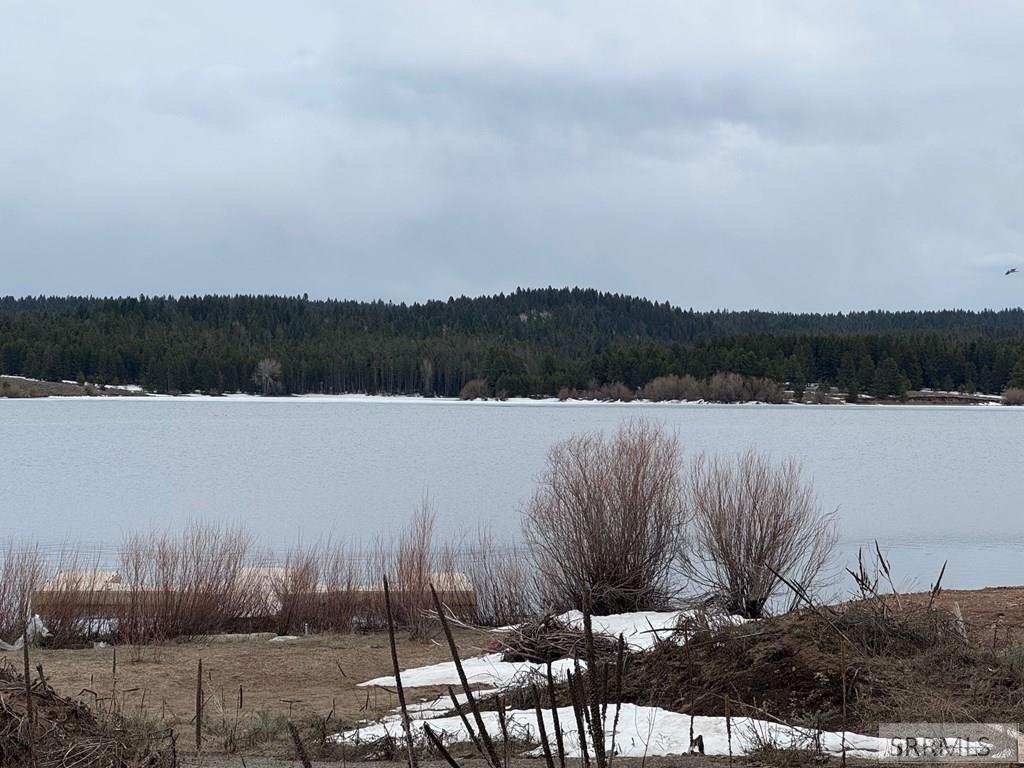 3694 Southshore Drive, ISLAND PARK, Idaho image 10