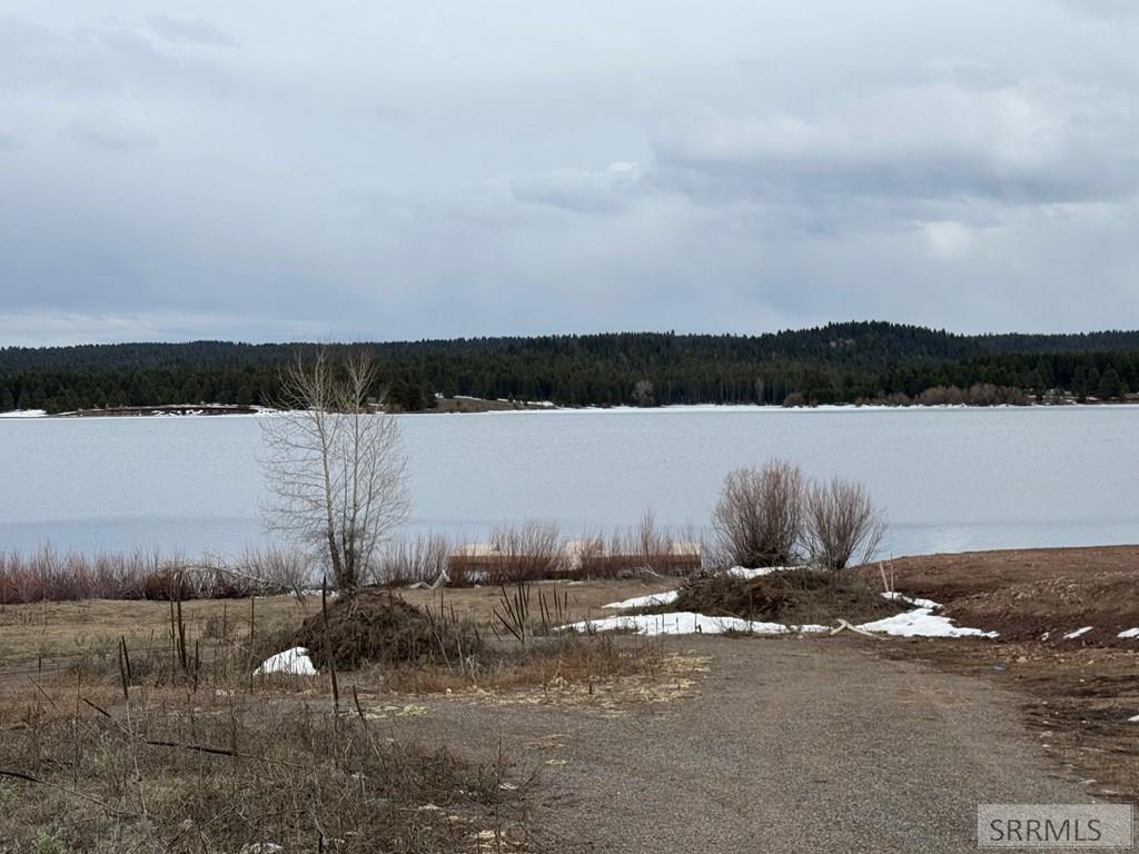 3694 Southshore Drive, ISLAND PARK, Idaho image 19