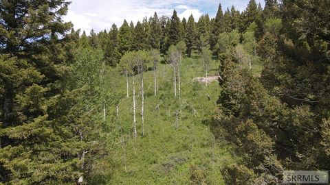 Vacant Land For Sale - 4907 Shadow Wood Ln<br/> ISLAND PARK, ID 83429