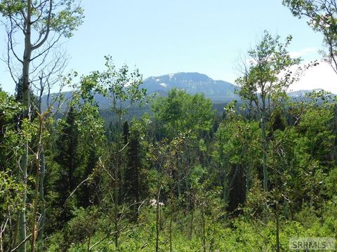 Vacant Land For Sale - 4907 Shadow Wood Ln<br/> Fremont County, ISLAND PARK, ID 83429