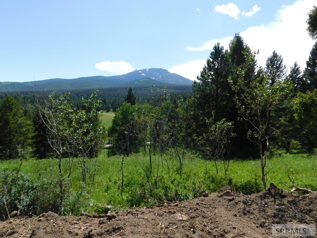 4914 Shadow Wood Ln, ISLAND PARK, Idaho image 3