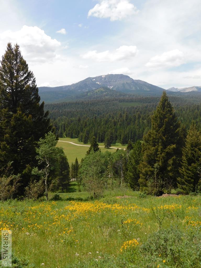 4914 Shadow Wood Ln, ISLAND PARK, Idaho image 1