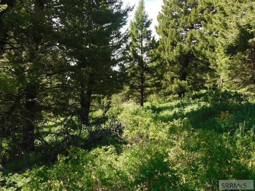 4914 Shadow Wood Ln, ISLAND PARK, Idaho image 4