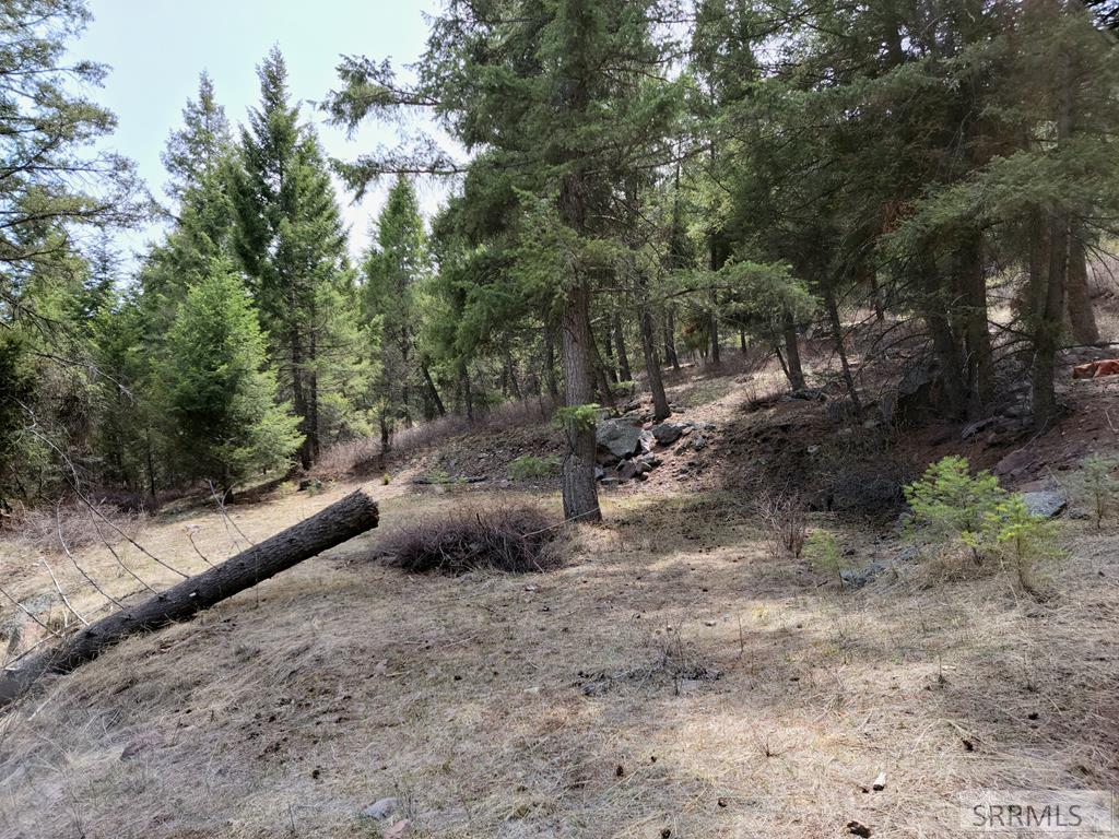 21 Pinetree Drive, SALMON, Idaho image 32
