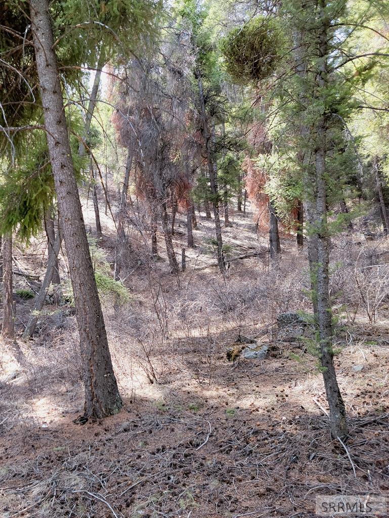 21 Pinetree Drive, SALMON, Idaho image 30