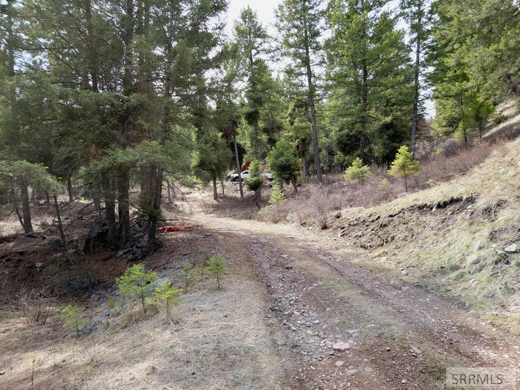 21 Pinetree Drive, SALMON, Idaho image 31