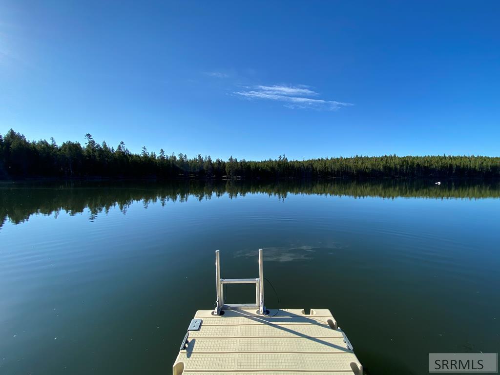 3797 Lodgepole Lane, ISLAND PARK, Idaho image 5