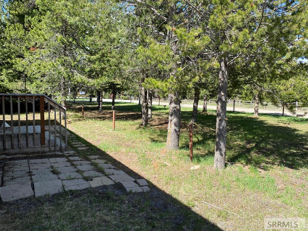 3797 Lodgepole Lane, ISLAND PARK, Idaho image 3