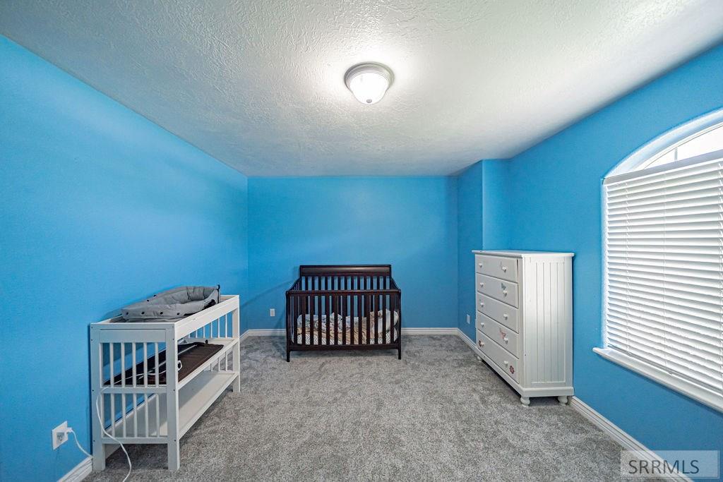 3860 E 390 N, RIGBY, Idaho image 19