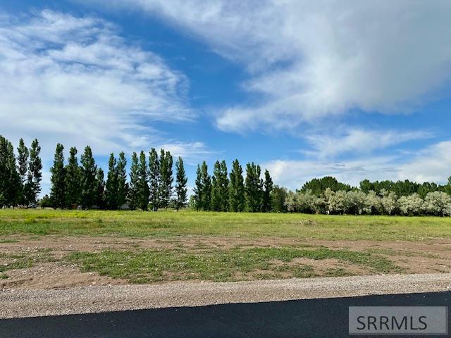TBD L2 E 172 N, RIGBY, Idaho image 1