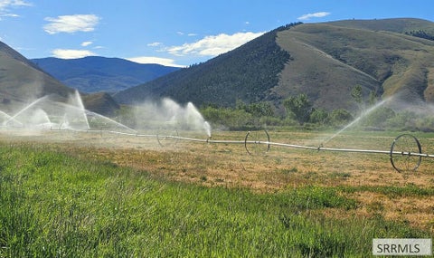 Vacant Land For Sale - NKN Agency Creek Road<br/> TENDOY, ID 83468