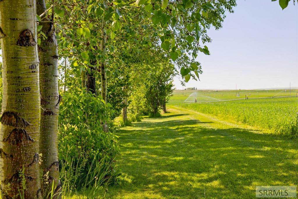 635 N 2743 E, ROBERTS, Idaho image 39