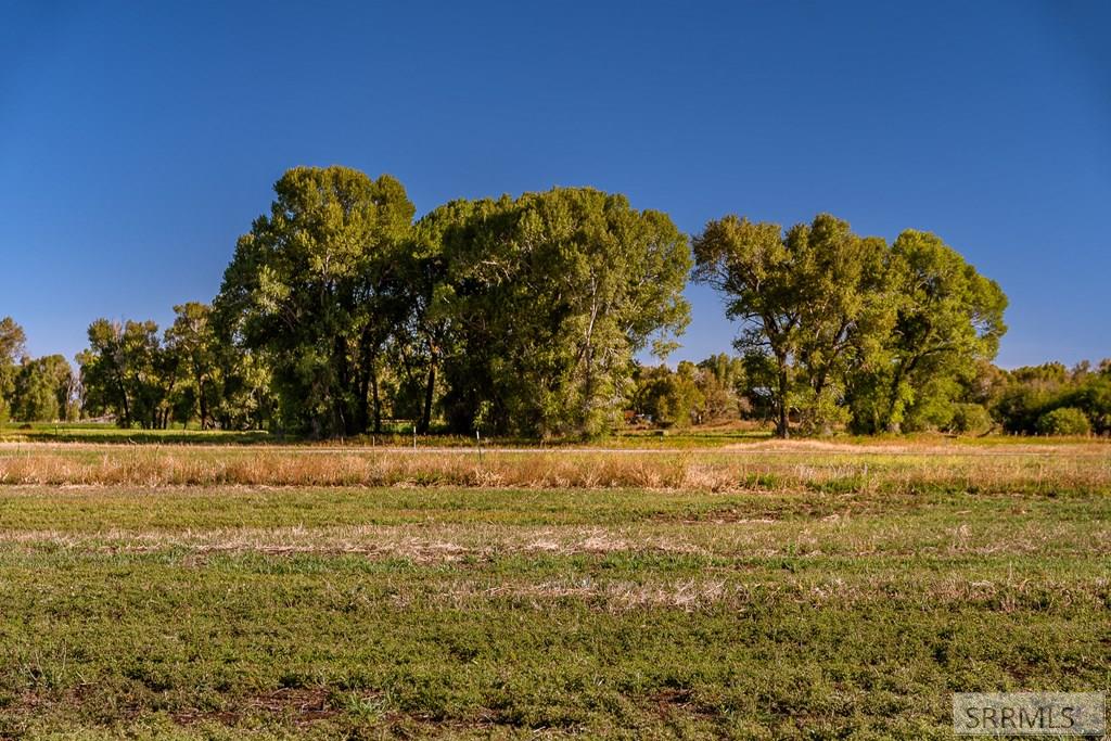 6688 Fox Meadow Drive, VICTOR, Idaho image 8