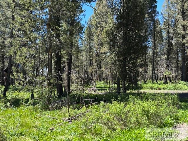 3521 Pine Cone Drive #3521, ISLAND PARK, Idaho image 4