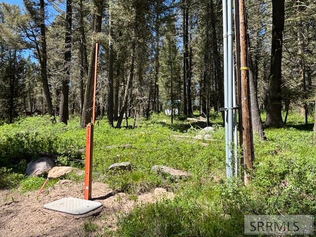 3521 Pine Cone Drive #3521, ISLAND PARK, Idaho image 7