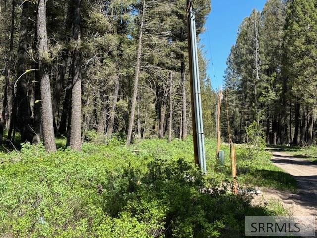 3521 Pine Cone Drive #3521, ISLAND PARK, Idaho image 6