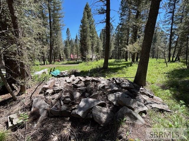3521 Pine Cone Drive #3521, ISLAND PARK, Idaho image 21