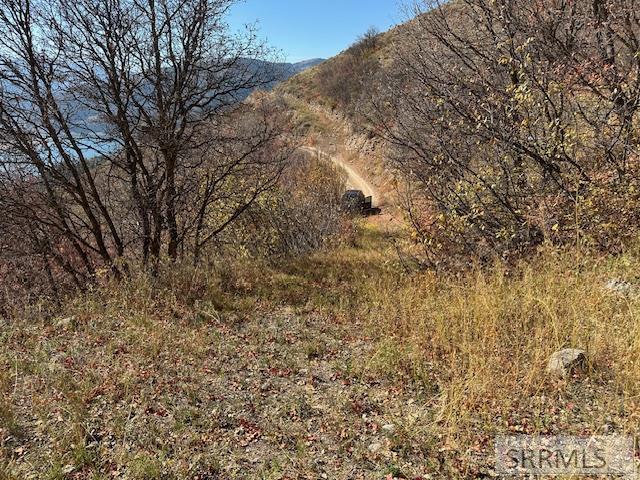 973 Shady Lane, IRWIN, Idaho image 8