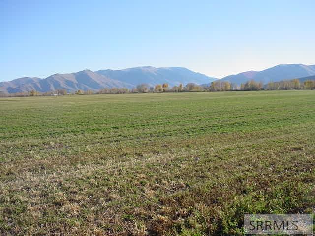 3885 N 3580 W, MACKAY, Idaho image 42