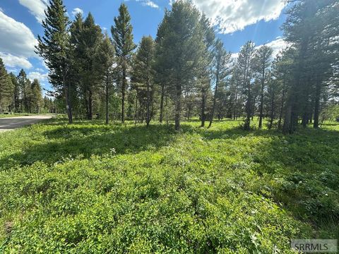 Photo of 4095 Icehouse Creek Road, ISLAND PARK, ID 83429 (MLS # 2185510)