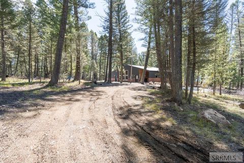 Photo of 4154 Pine Crest Drive, ISLAND PARK, ID 83429 (MLS # 2185372)
