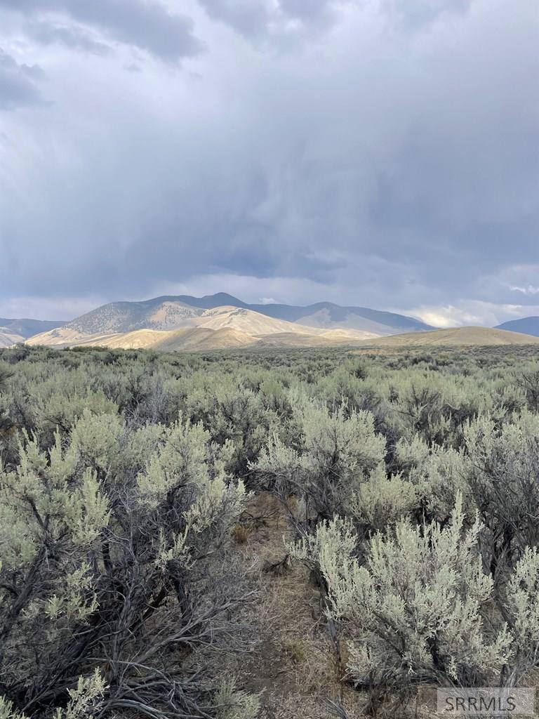 TBD Jackson Road, LEADORE, Idaho image 13