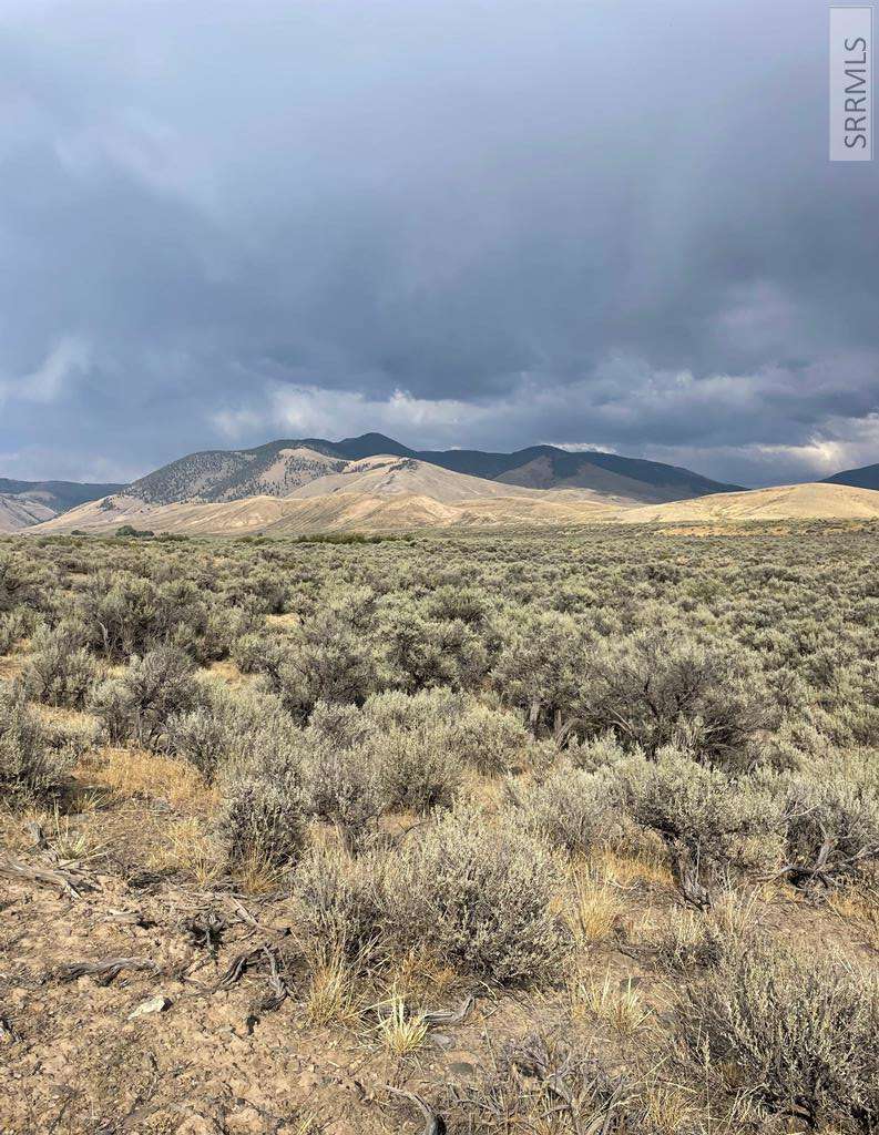 TBD Jackson Road, LEADORE, Idaho image 1