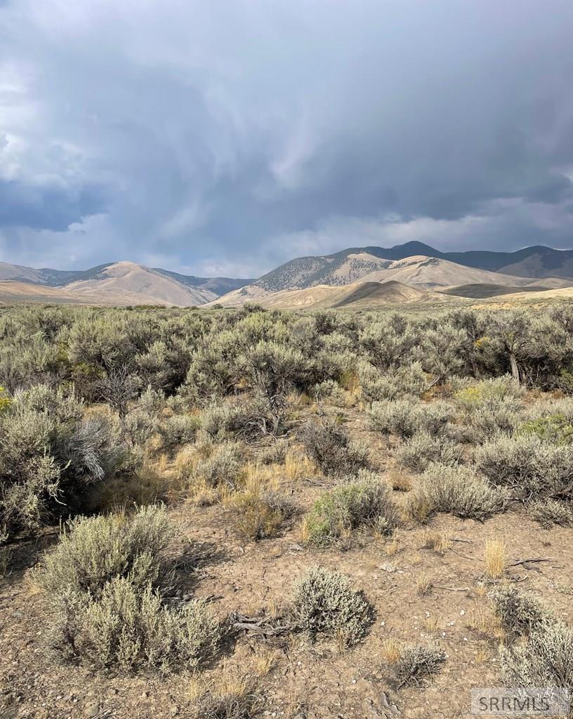 TBD Jackson Road, LEADORE, Idaho image 2