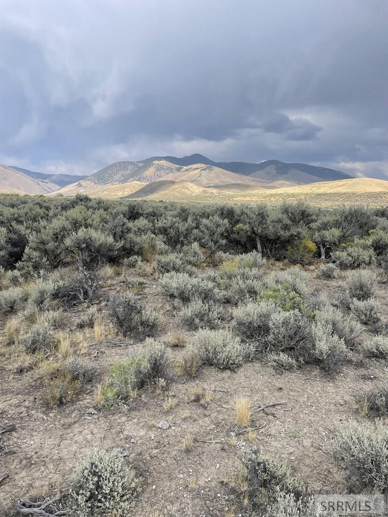 TBD Jackson Road, LEADORE, Idaho image 4