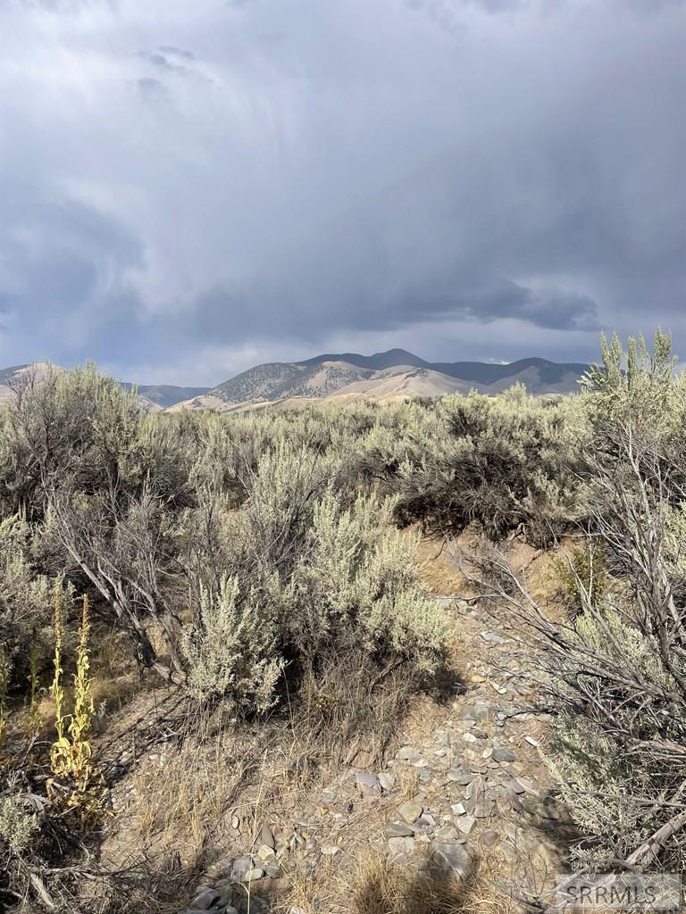 TBD Jackson Road, LEADORE, Idaho image 9