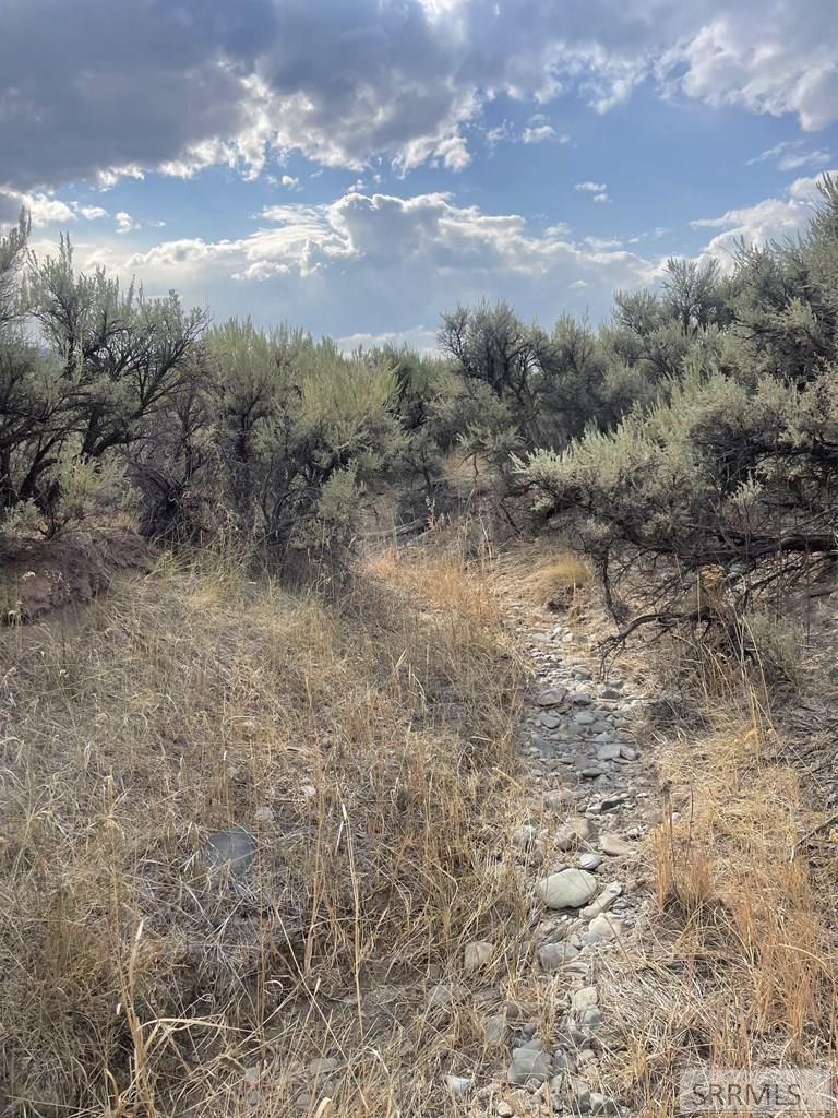 TBD Jackson Road, LEADORE, Idaho image 11