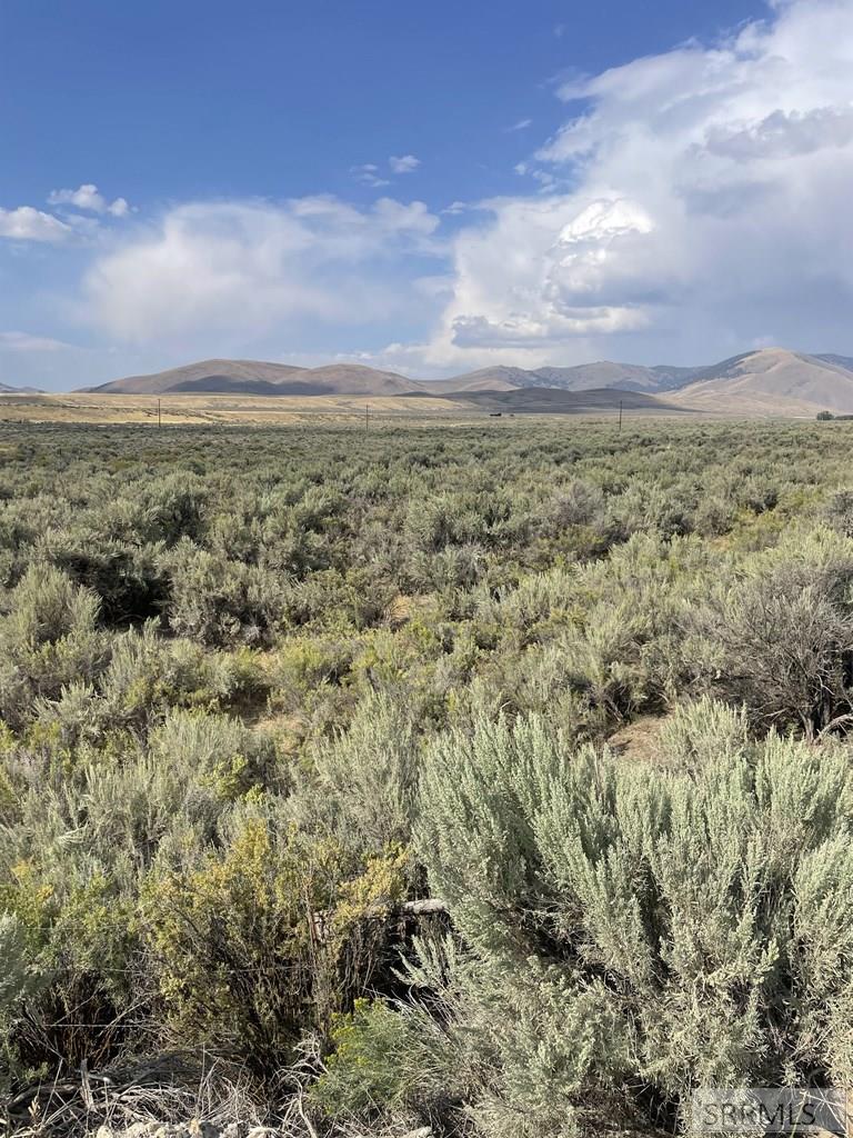 TBD Jackson Road, LEADORE, Idaho image 3